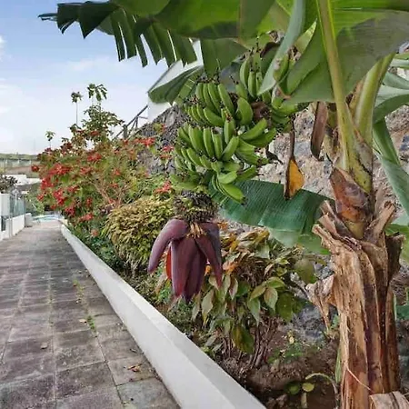 Paradise Belair Wifi, Piscina, Parking 公寓